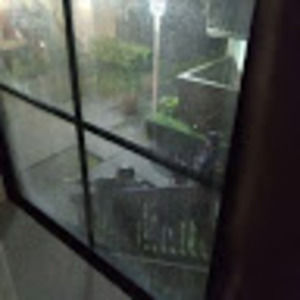 Meet your Posher, Dwight